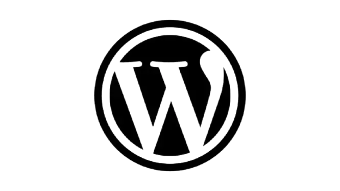 wordpress best freelance digital marketer in jeddah